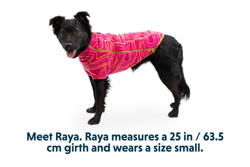 Ruffwear | Climate Changer™ Fleece Dog Jacket Strata