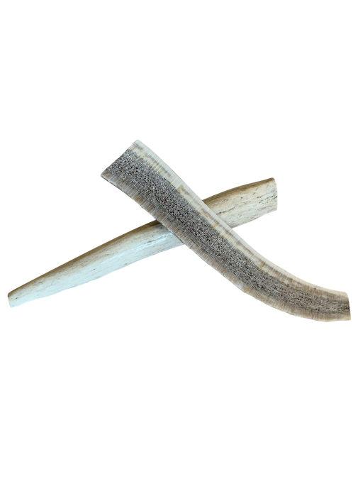 Ross Taylor | Elkhorn Antler Split Small