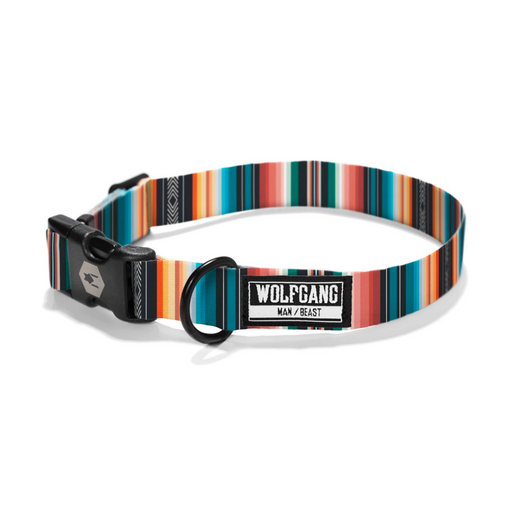 Wolfgang Man & Beast | LostArt Dog Collar