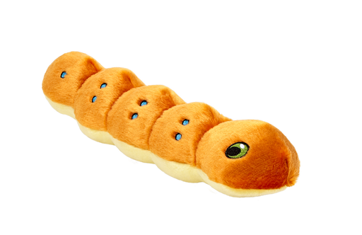 Fluff & Tuff® | Spicy the Caterpillar