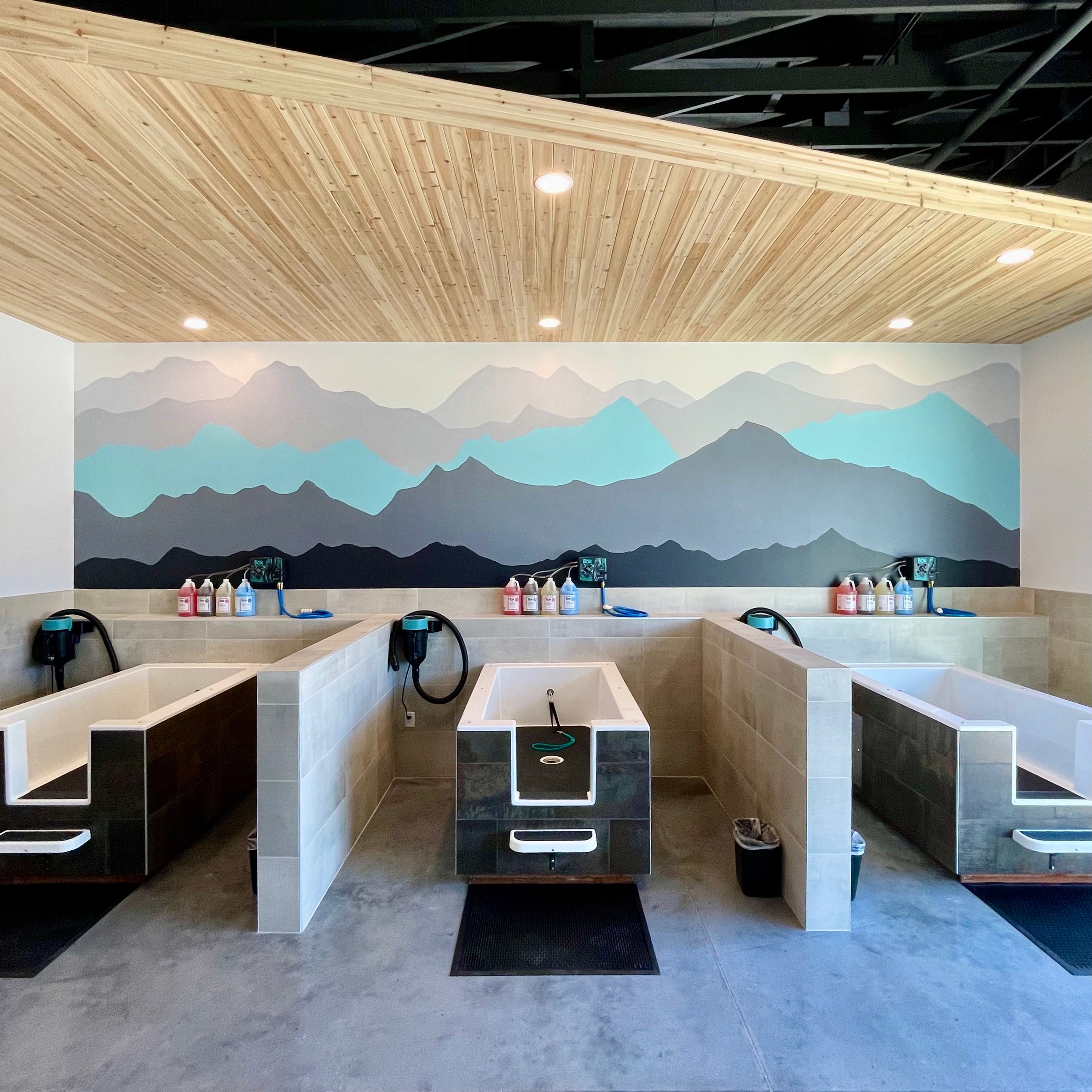 Pet Spawt Natural Pet Store & Selfserve Dog Wash