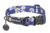 Ruffwear | Front Range™ Collar Wildflower