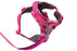 Ruffwear | Front Range Harness™ Pink Mountains