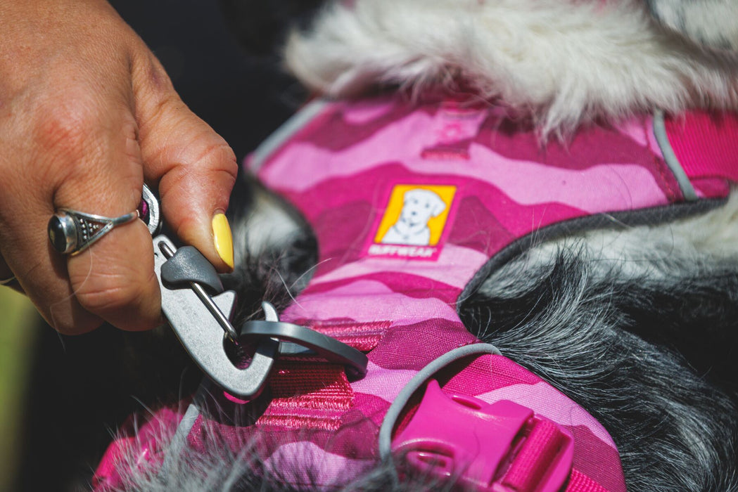Ruffwear | Front Range Harness™ Pink Mountains