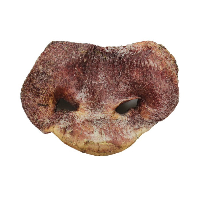 VE Raw BAR | Pig Snout