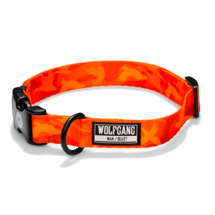 Wolfgang Man & Beast | BirdDog Dog Collar