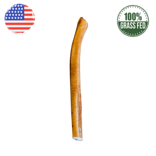 12" Odor Free Bully Stick | USA | Grass-Fed